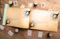 Alice and Mad Hatter Wonderland Woodland Wedding Guestbook Personalised Personalized Perfect for Wonderland and Fairytale Weddings Scrapbook