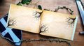 Fairytale Castle Woodland Guestbook Personalised Personalized Perfect for Woodland and Fairytale Wedding Scrapbook Album Custom Wedding